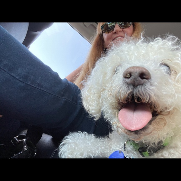 Meet your Posher, Cynthia - Picture 15 of 16